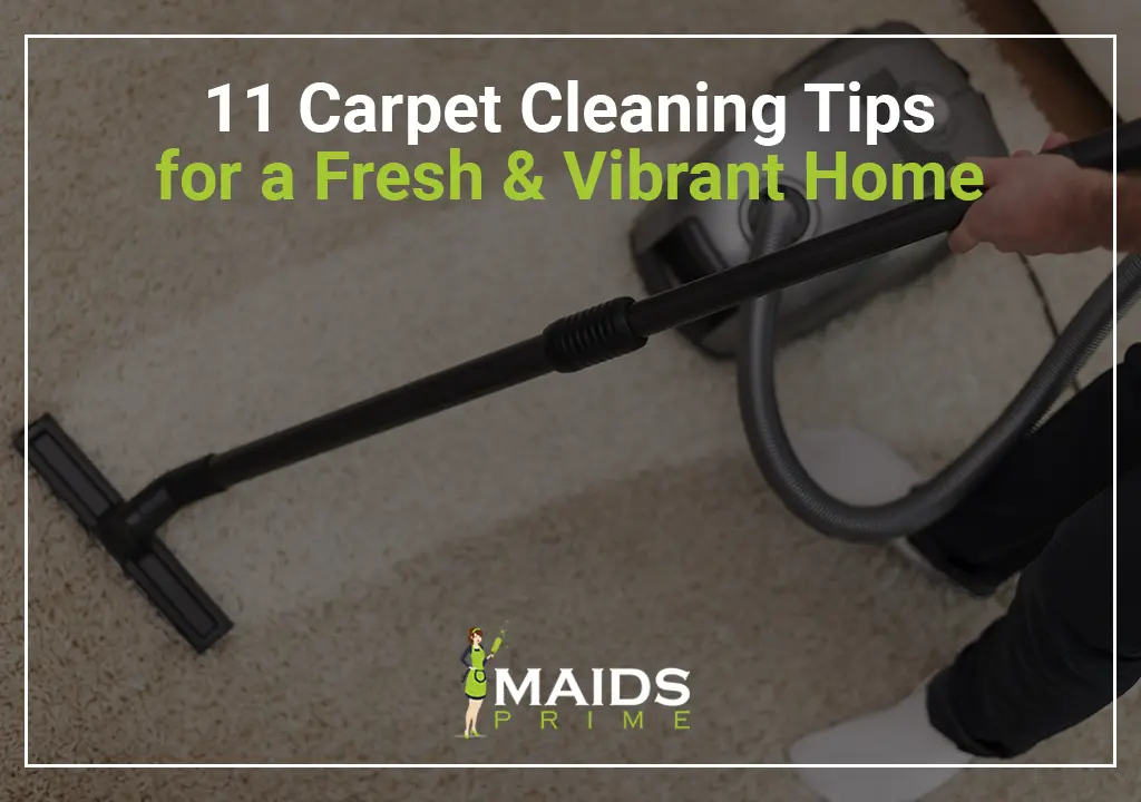 Carpet cleaning tips banner