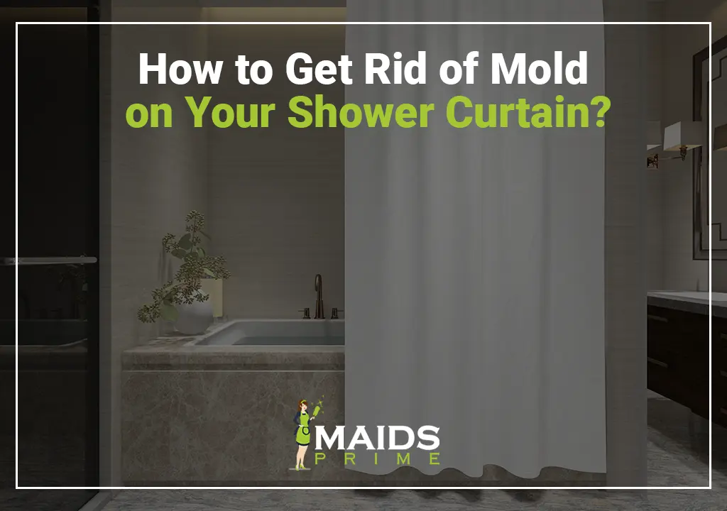 How to Get Rid of Mold on Your Shower Curtain?